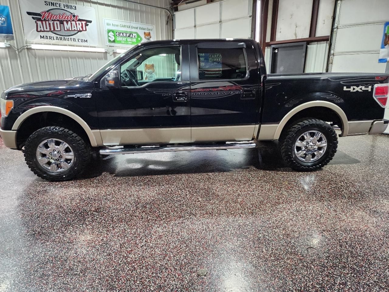 Ford F-150 4WD SuperCrew 145" Platinum 2009
