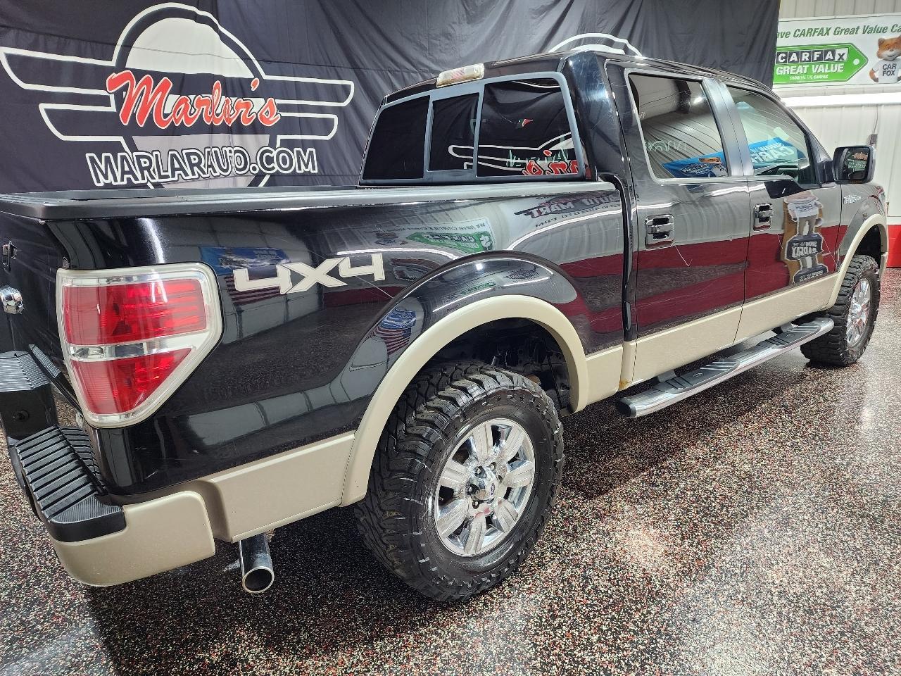 Ford F-150 4WD SuperCrew 145" Platinum 2009