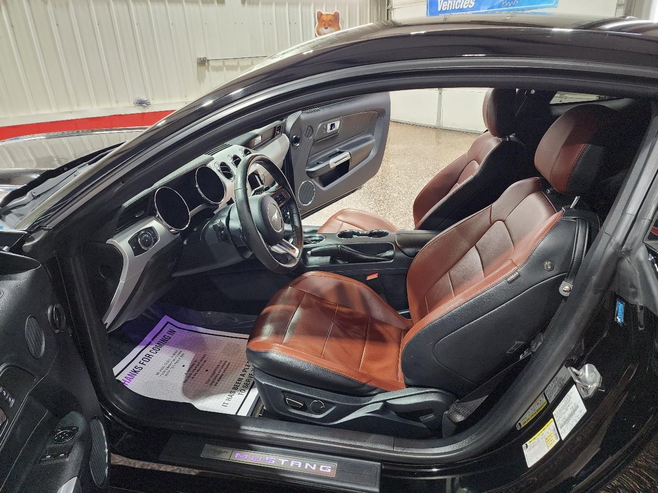 Ford Mustang 2dr Fastback EcoBoost 2015