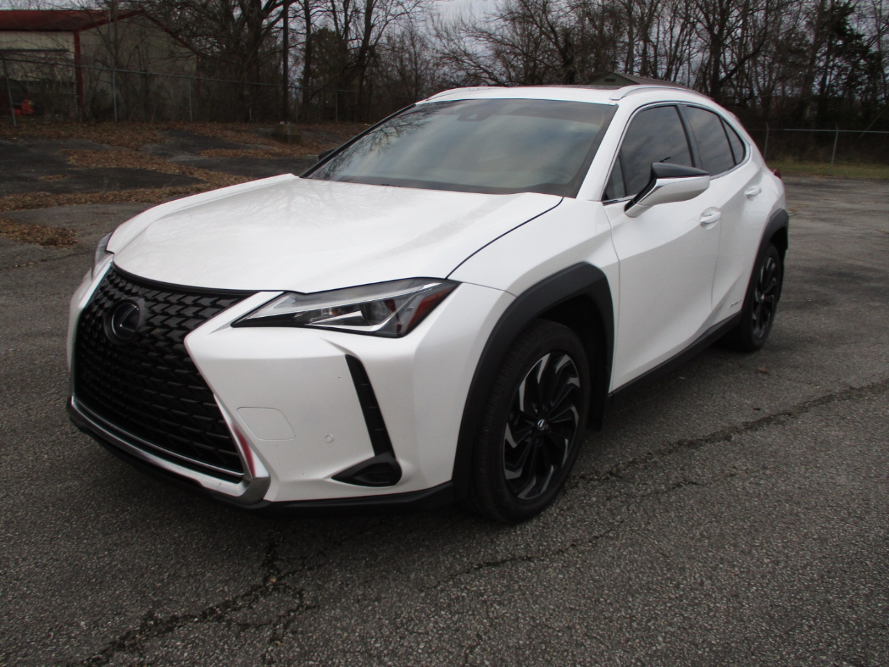 2021 Lexus UX UX 250h AWD