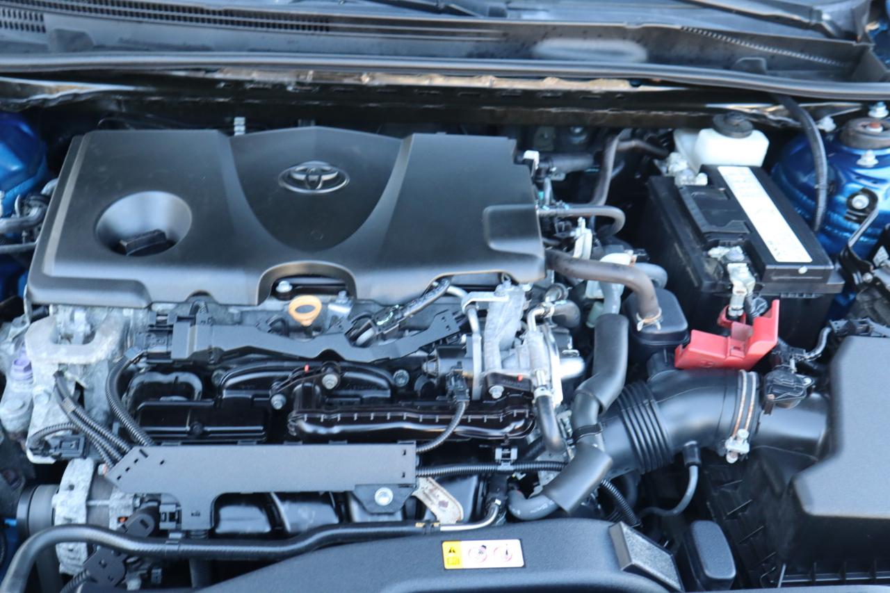 Toyota Camry XLE Auto (Natl) 2019
