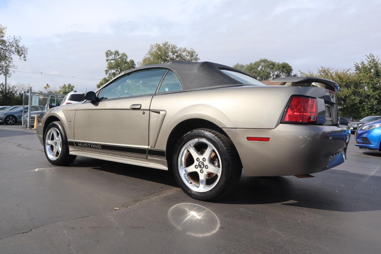 Ford Mustang Deluxe Convertible 2002