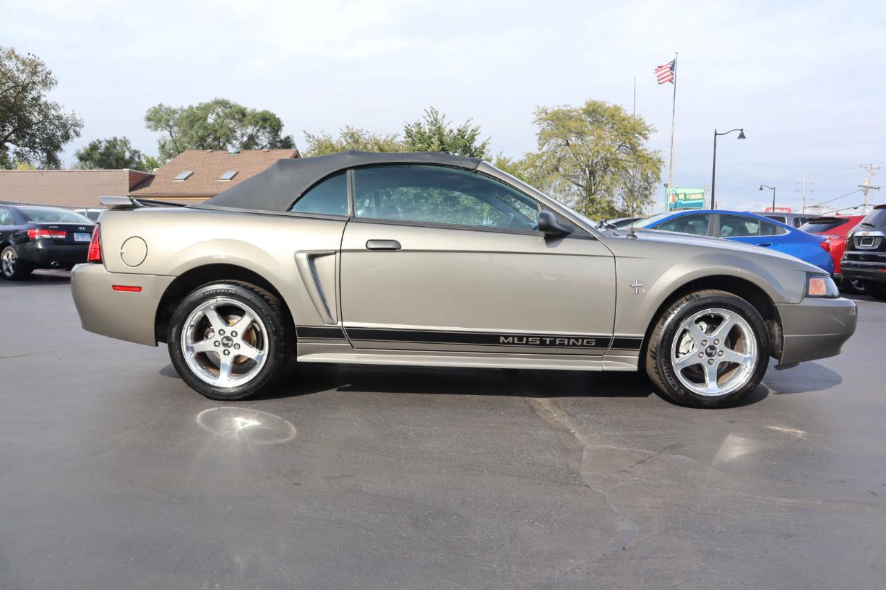 Ford Mustang Deluxe Convertible 2002