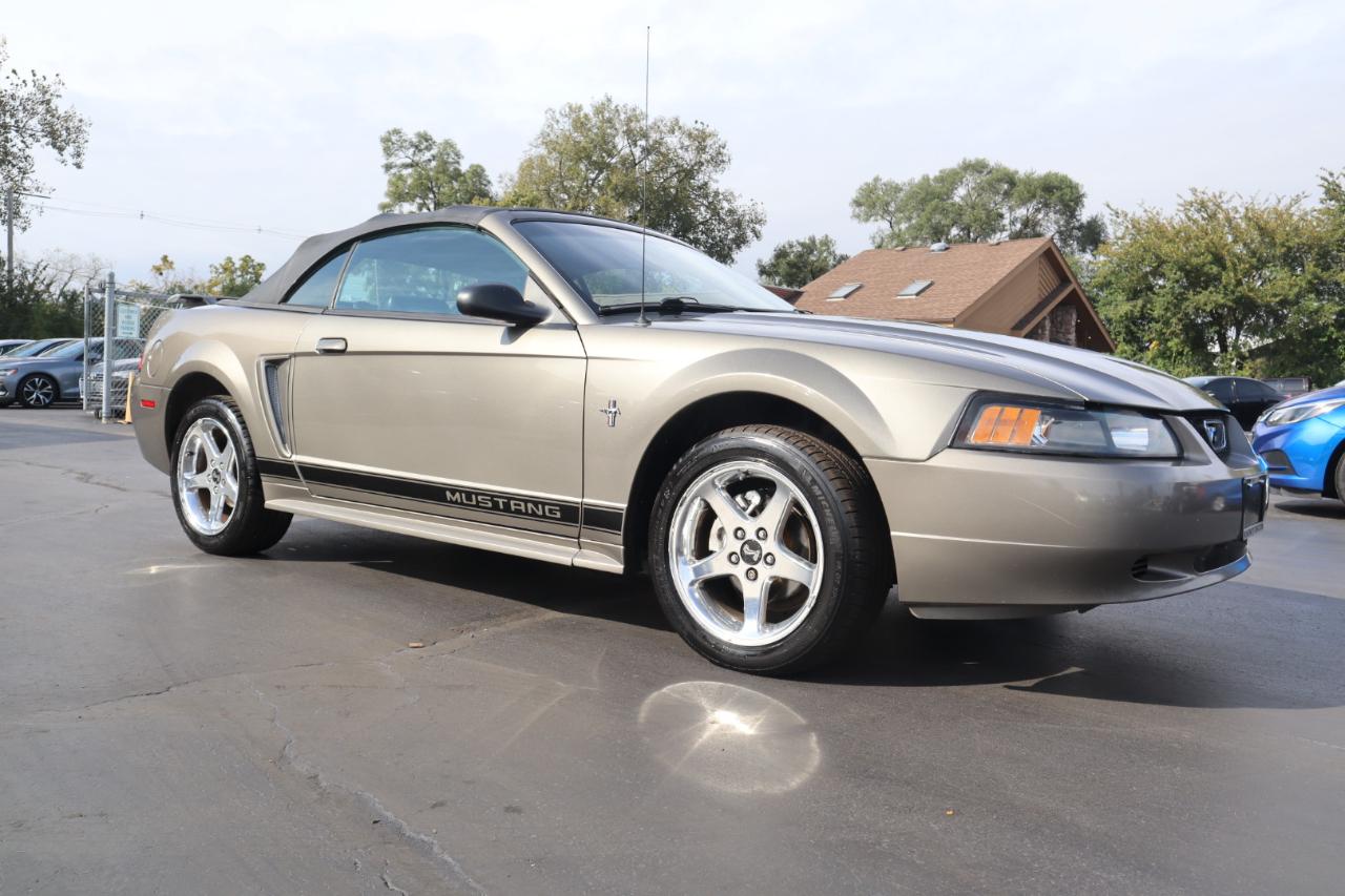 Ford Mustang Deluxe Convertible 2002