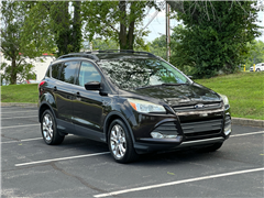 2013 Ford Escape  2013 Ford Escape