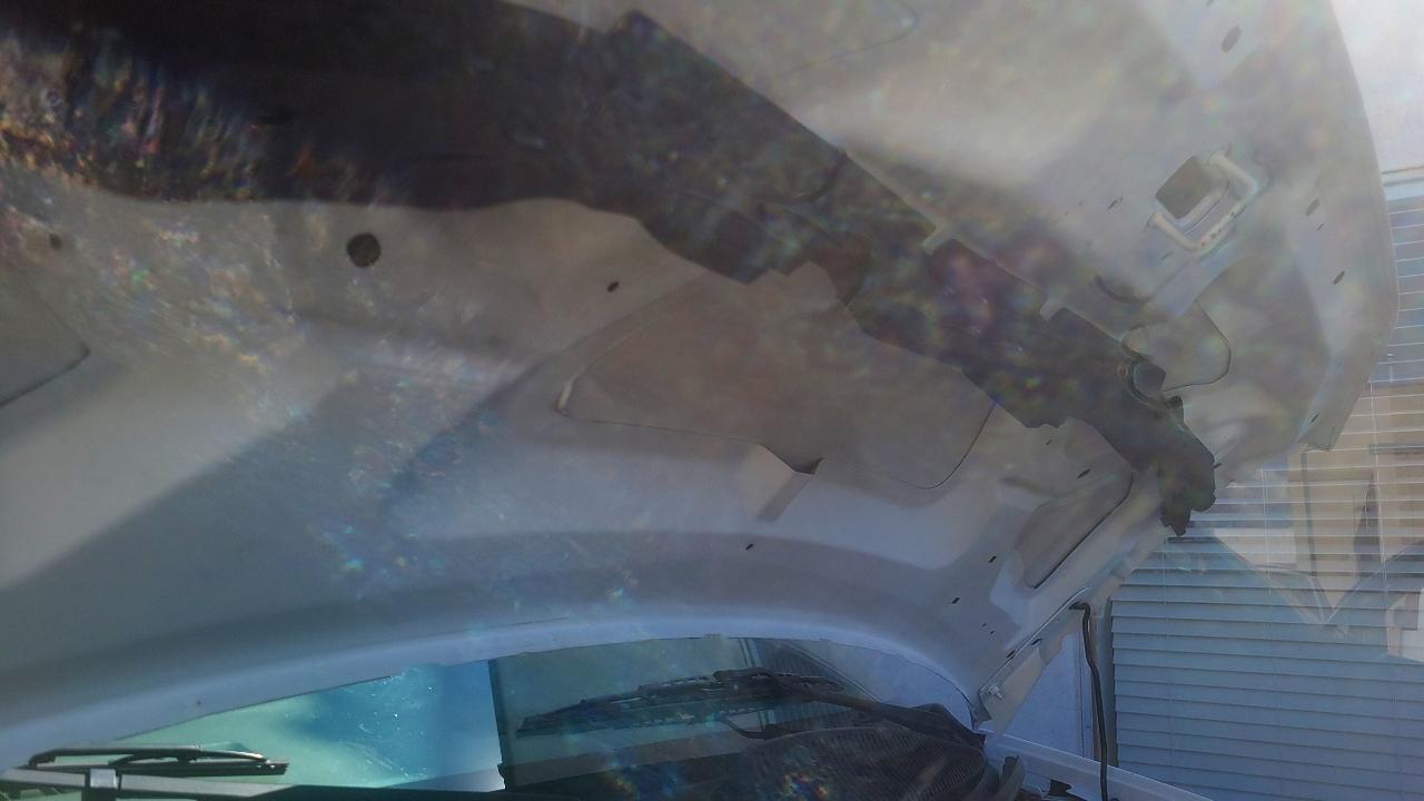 Chevrolet Express Cargo Van RWD 2500 135" 2020