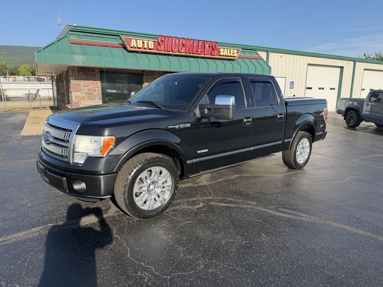 Ford F-150 2WD SuperCrew 145" Platinum 2012