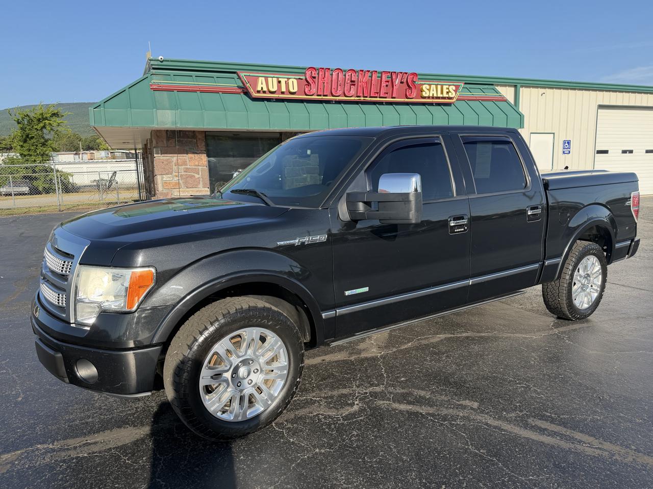 Ford F-150 2WD SuperCrew 145" Platinum 2012