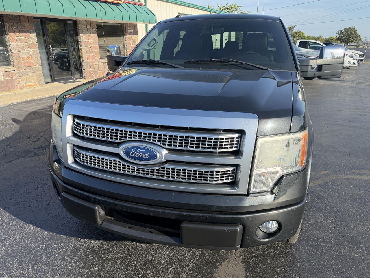 Ford F-150 2WD SuperCrew 145" Platinum 2012