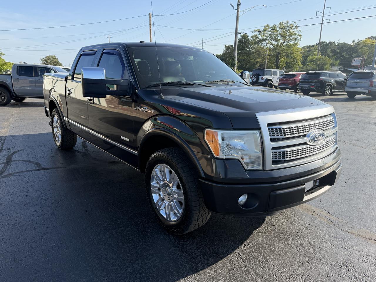 Ford F-150 2WD SuperCrew 145" Platinum 2012
