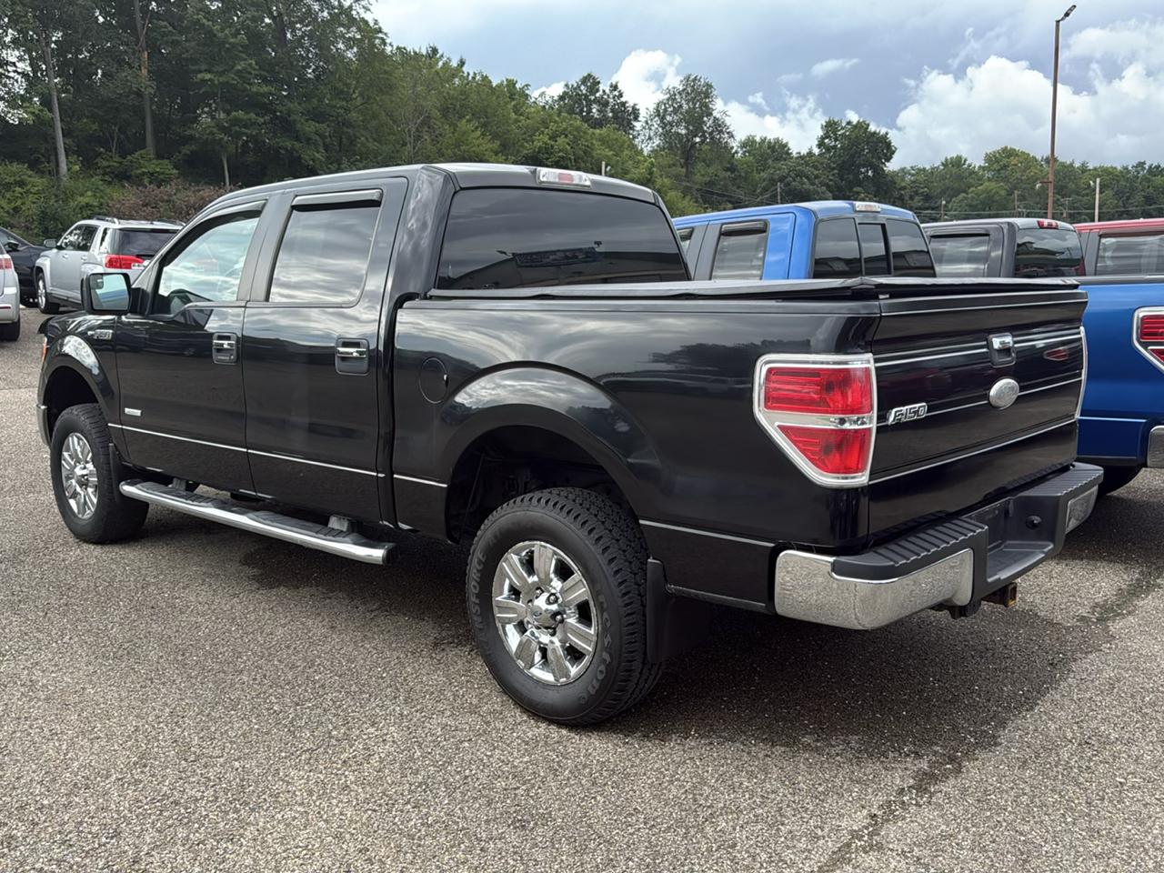 Ford F-150 4WD SuperCrew 145" Platinum 2012