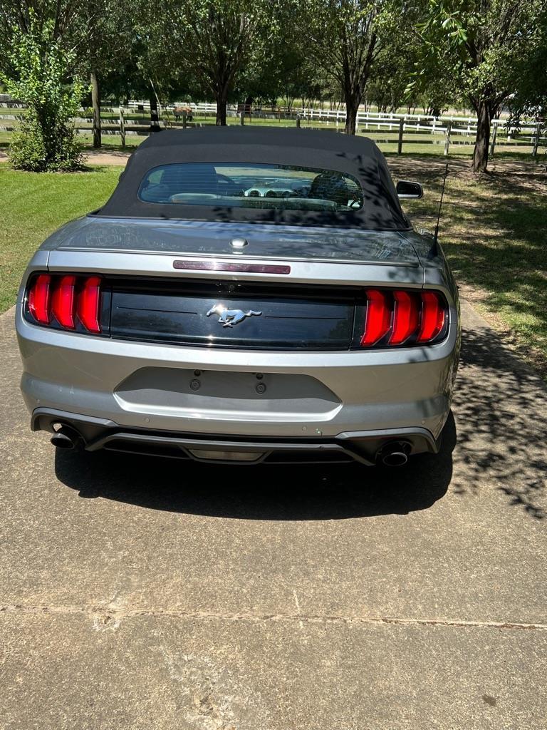 Ford Mustang EcoBoost Premium Convertible 2022