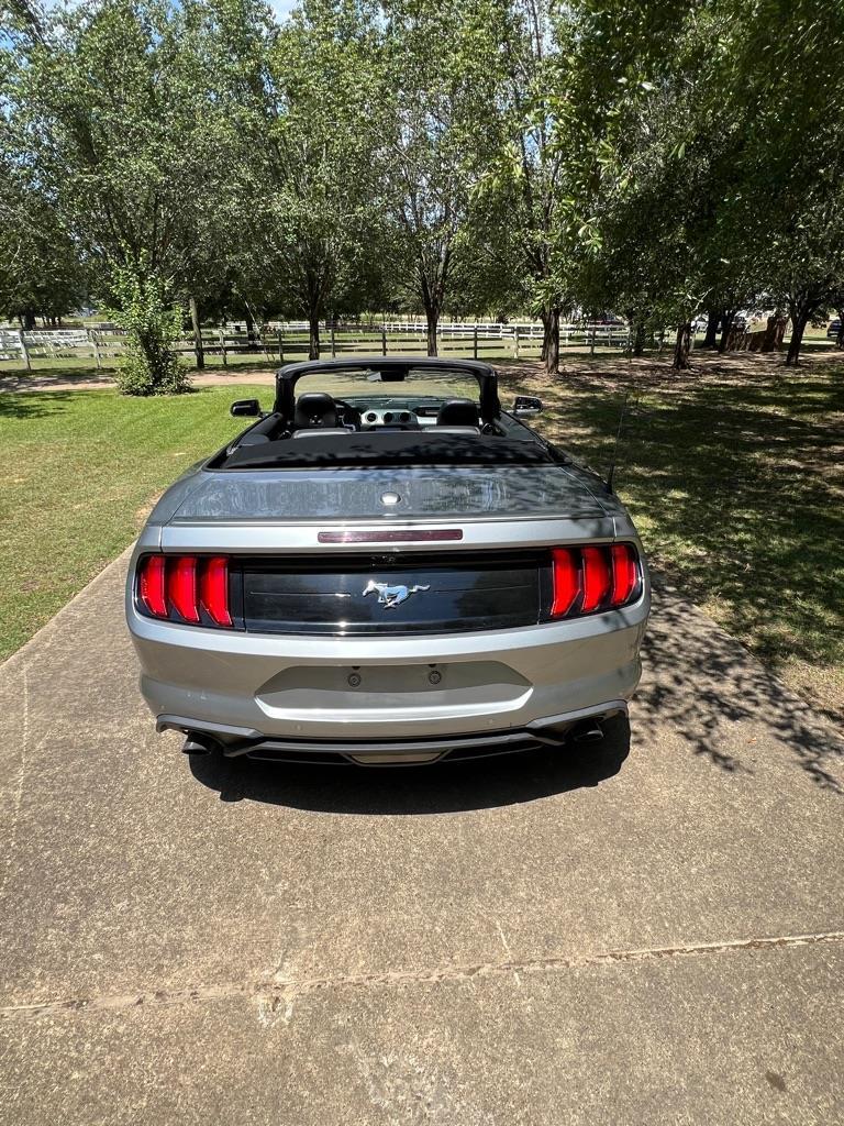 Ford Mustang EcoBoost Premium Convertible 2022