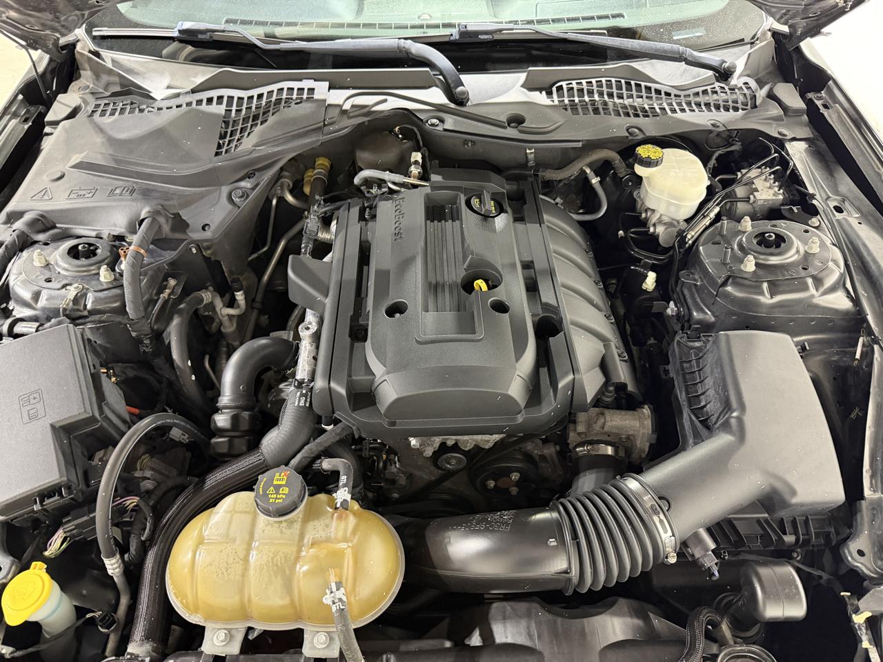 Ford Mustang EcoBoost Coupe 2015