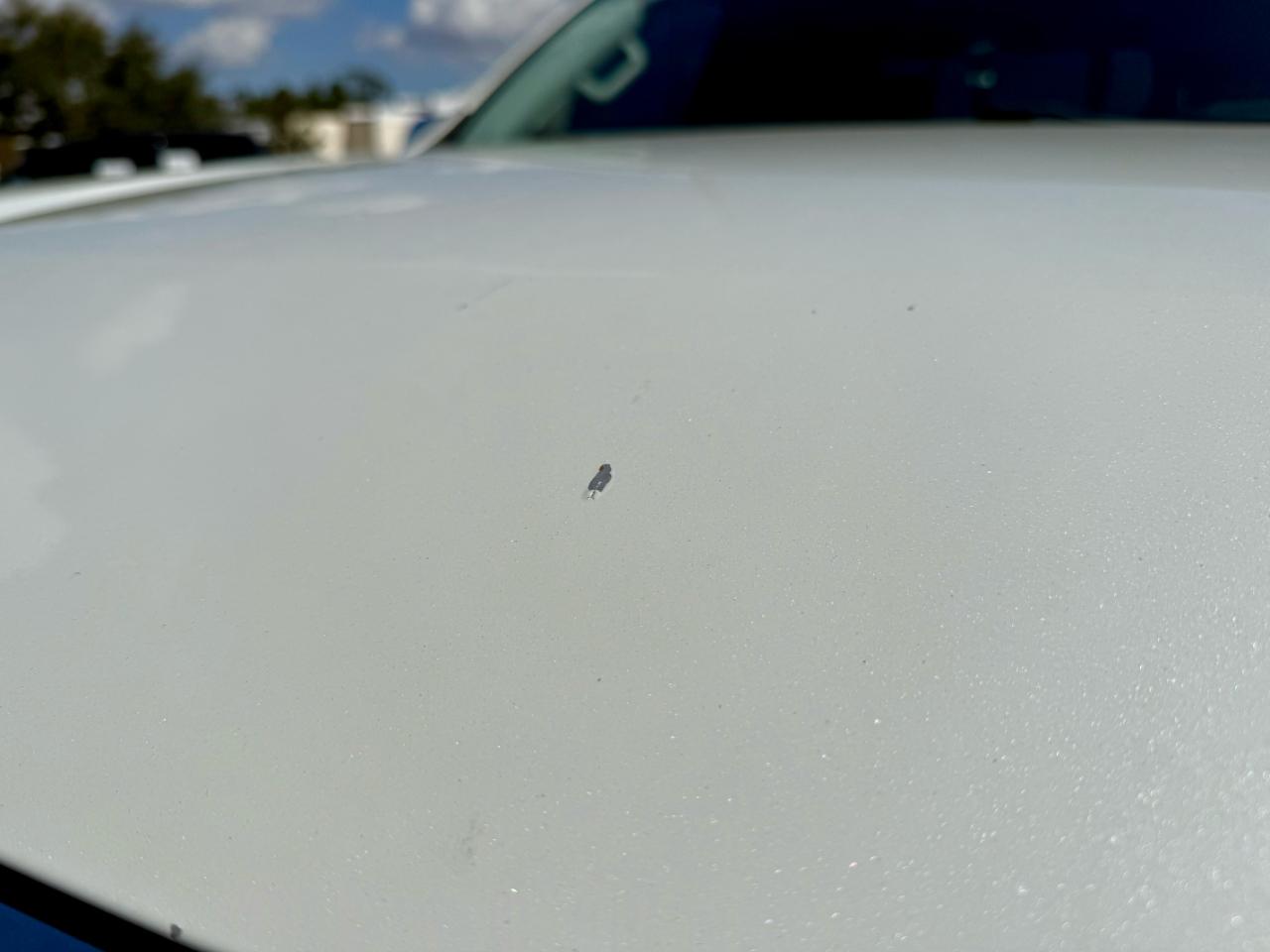 Nissan Titan Platinum Reserve Crew Cab 4WD 2017