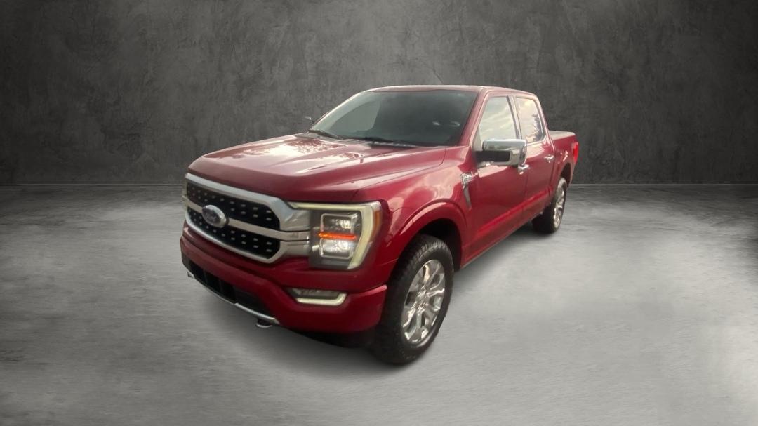 2021 Ford F-150 Platinum 4x4 SuperCrew 5-1/2 Box's photo