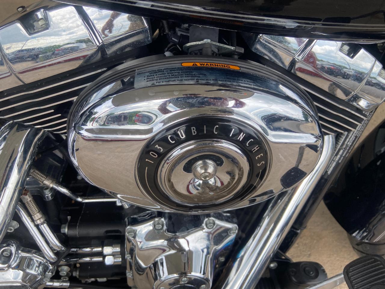 Harley-Davidson FLSTF103  2014