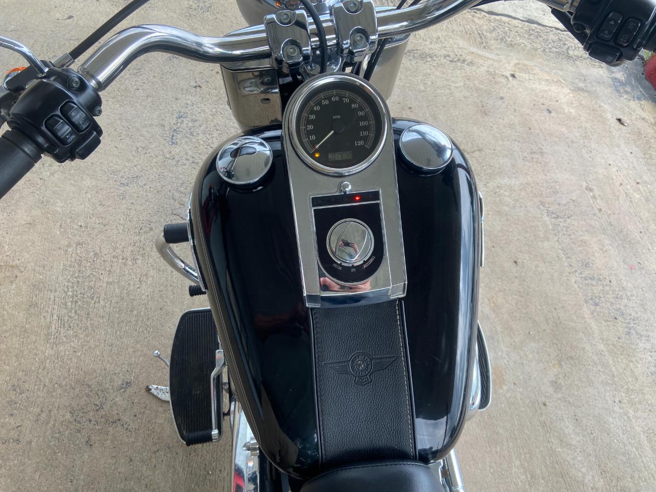 Harley-Davidson FLSTF103  2014