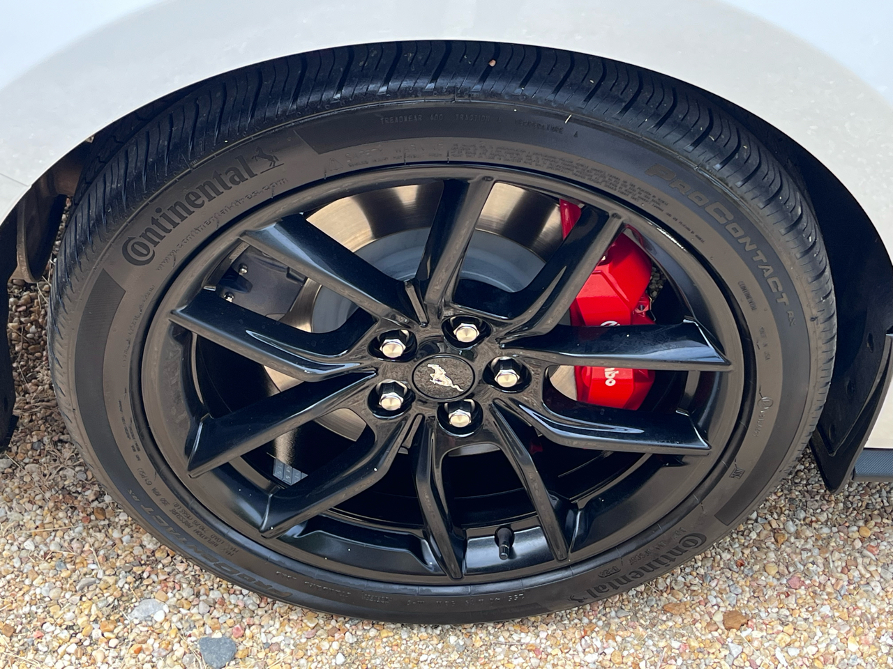2024 Ford Mustang GT photo 3