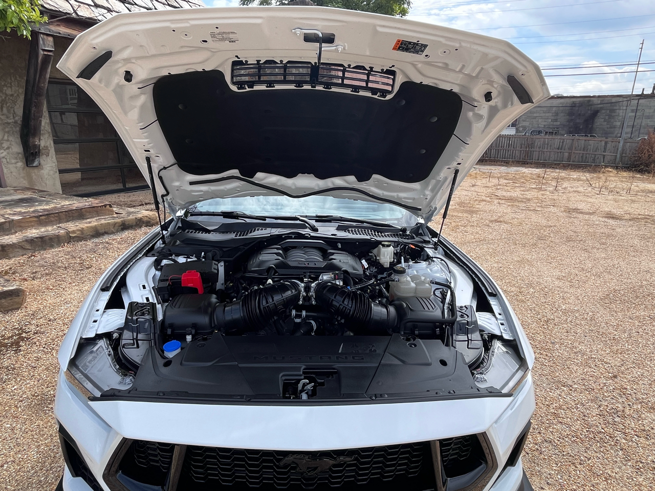2024 Ford Mustang GT photo 9