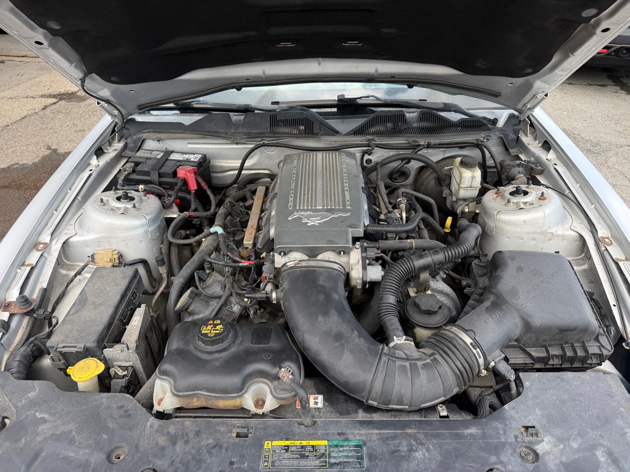 Ford Mustang GT Coupe 2010