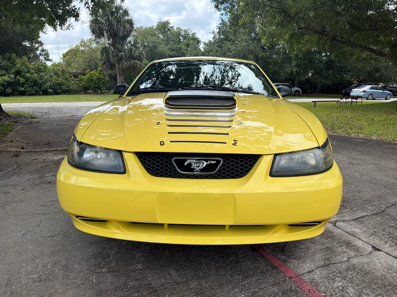 Ford Mustang 2dr Cpe Standard 2002