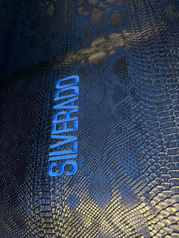 Chevrolet Silverado 1500 LS Short Bed 2WD 2003