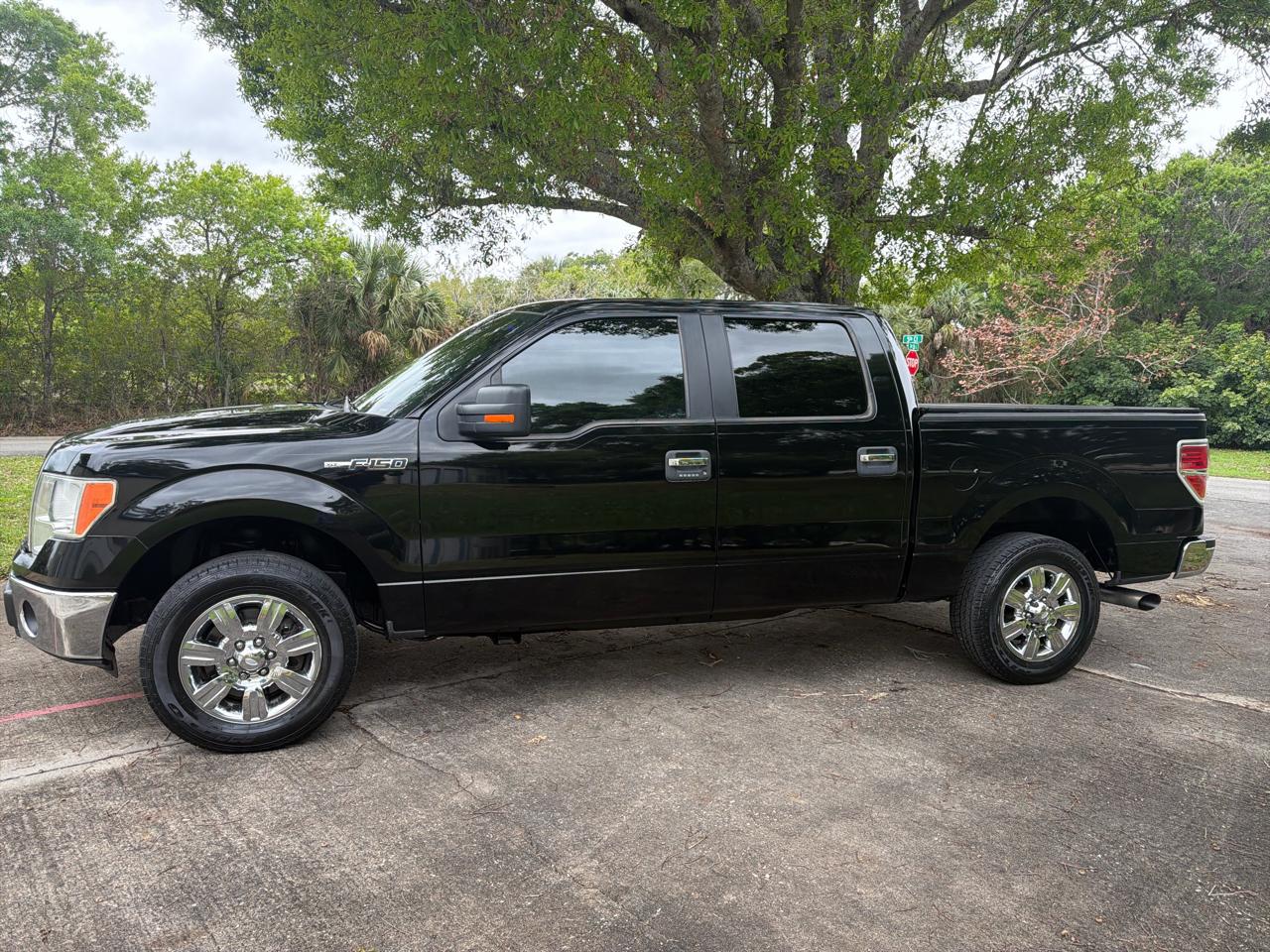 Ford F-150 2WD SuperCrew 145" XLT 2011