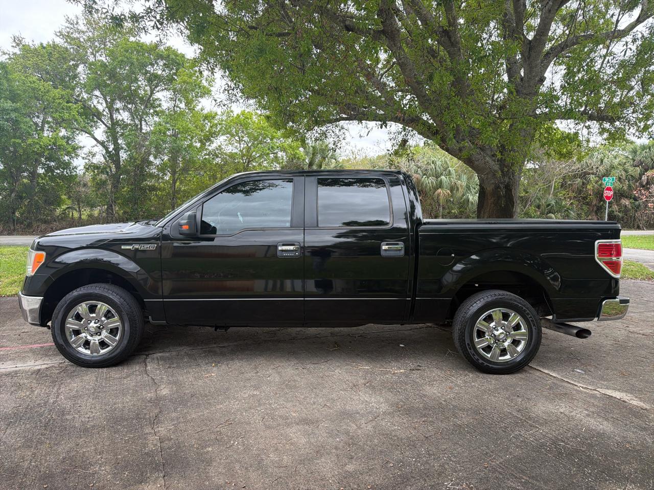 Ford F-150 2WD SuperCrew 145" XLT 2011