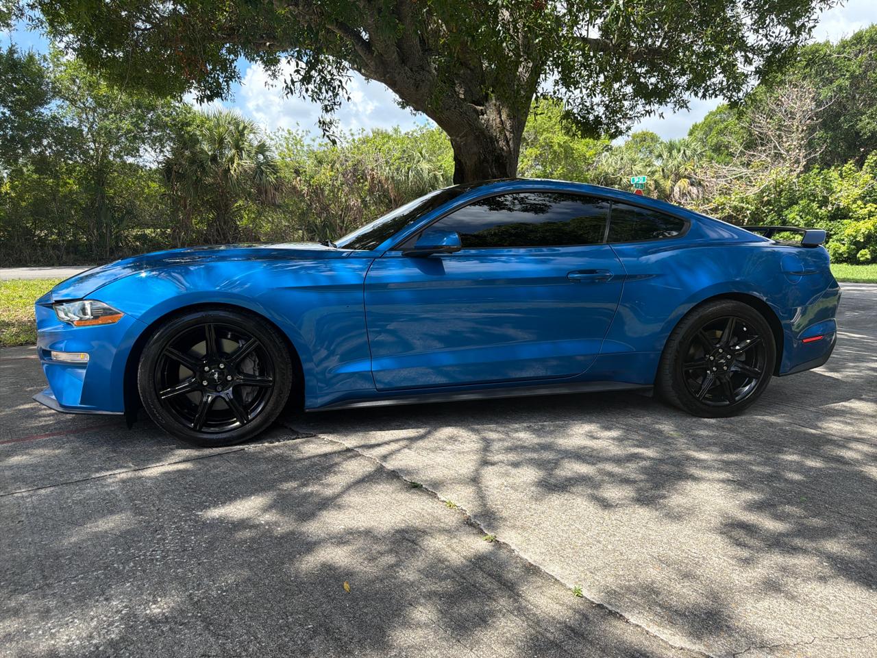 Ford Mustang GT Premium 2019