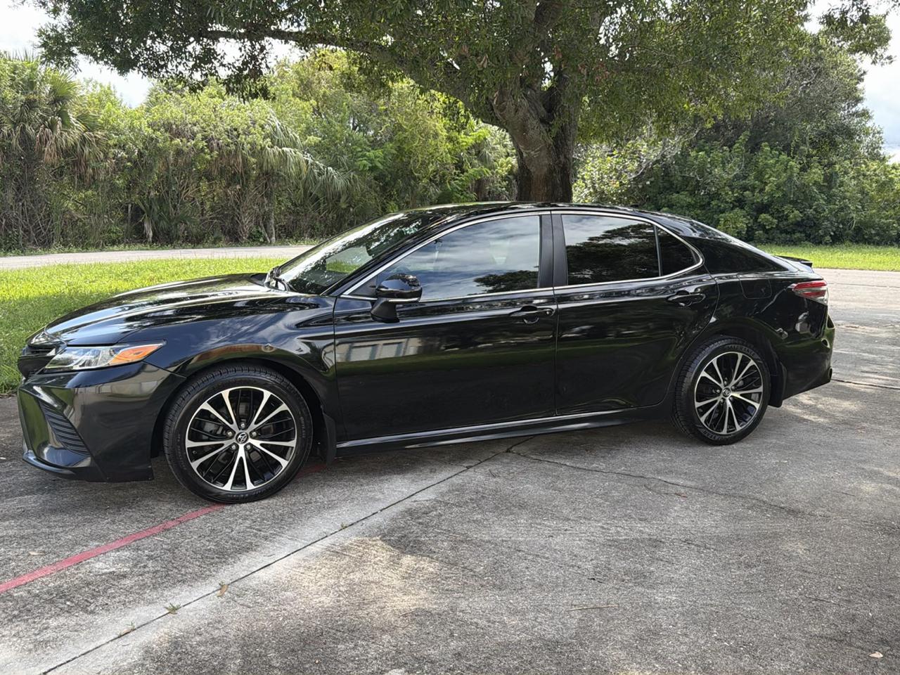 Toyota Camry XLE Auto (Natl) 2019