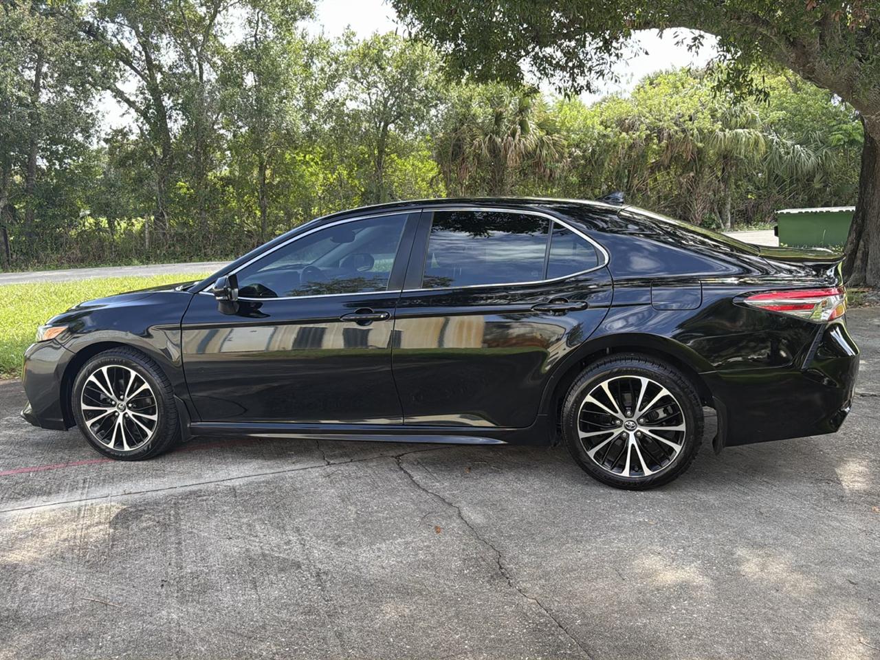 Toyota Camry XLE Auto (Natl) 2019