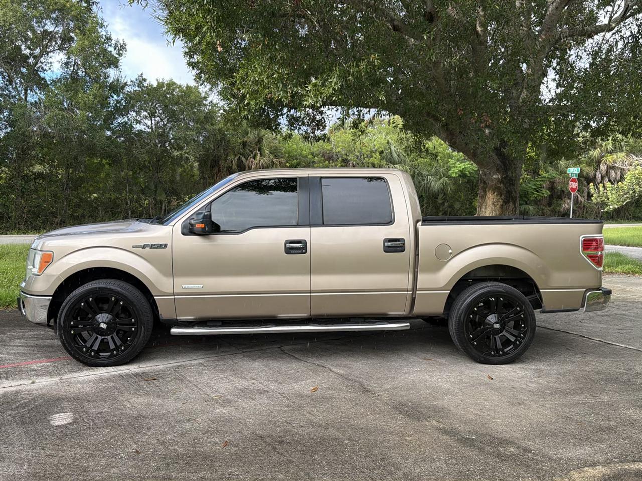 Ford F-150 2WD SuperCrew 145" XLT 2013