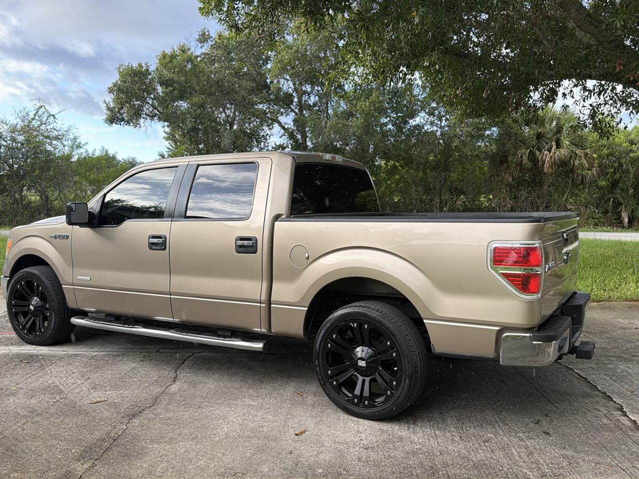 Ford F-150 2WD SuperCrew 145" XLT 2013