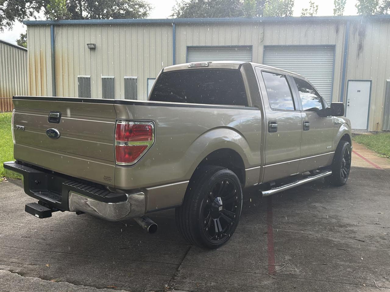 Ford F-150 2WD SuperCrew 145" XLT 2013