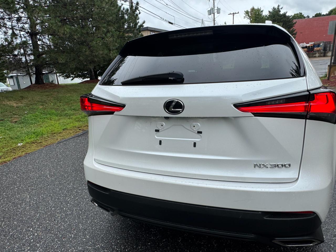 Lexus NX NX 300 AWD 2018
