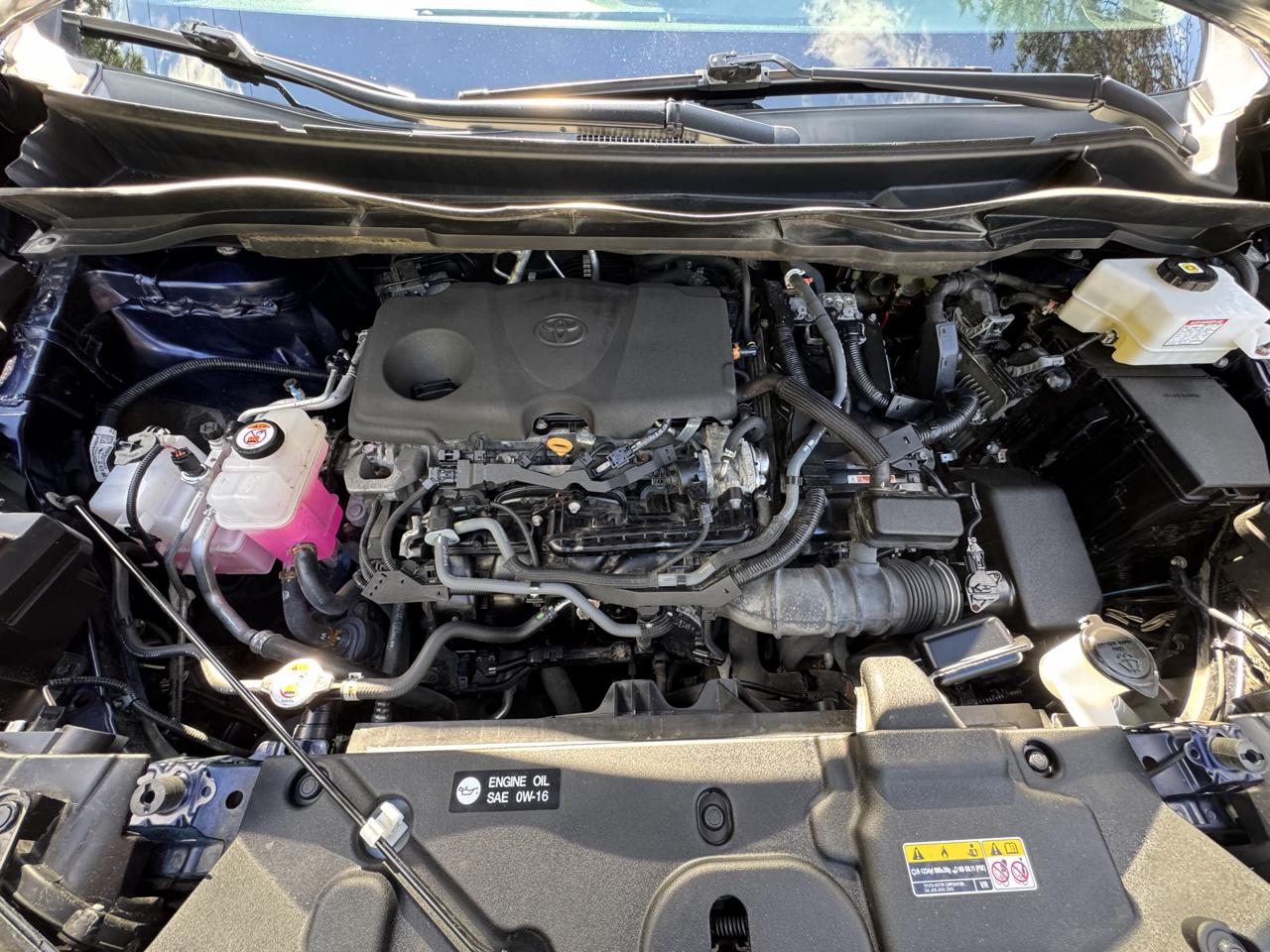 Toyota Sienna LE FWD 8-Passenger (Natl) 2023