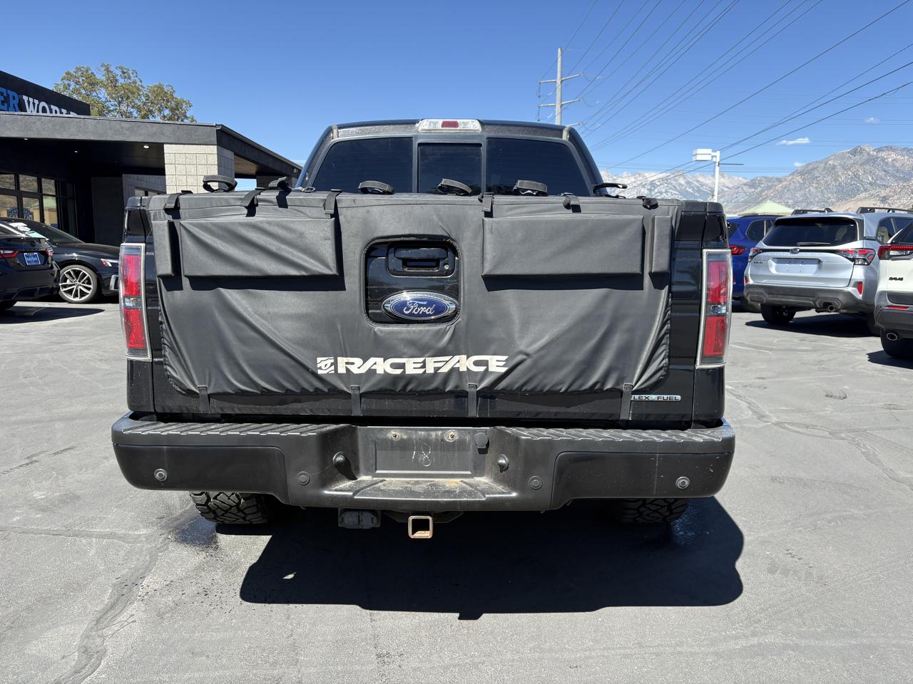 Ford F-150 4WD SuperCrew 145" Platinum 2014
