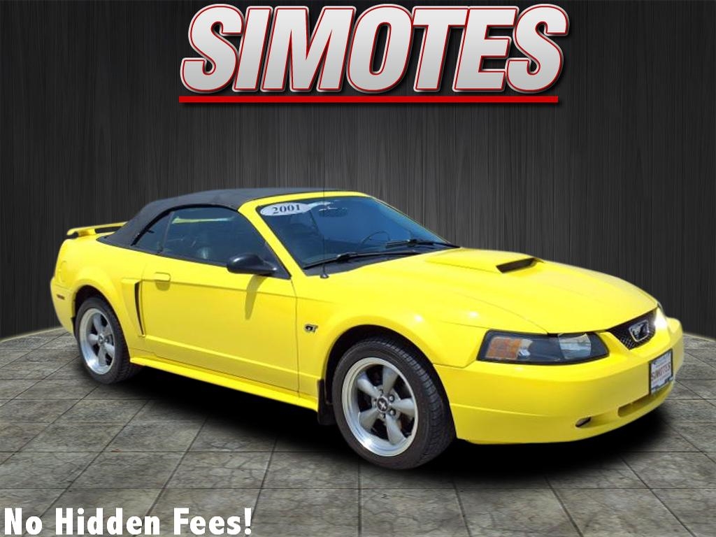 2001 Ford Mustang GT's photo