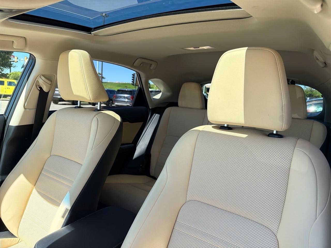 Lexus NX NX 300 AWD 2018