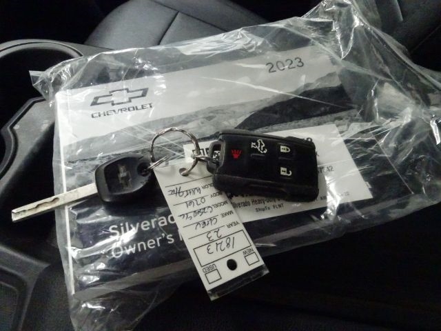 Chevrolet Silverado 2500HD 2WD Crew Cab 172" Work Truck 2023