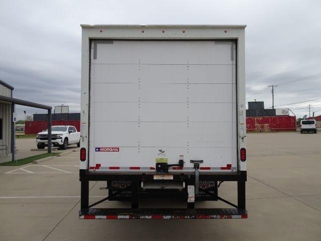 Isuzu NPR HD  2019