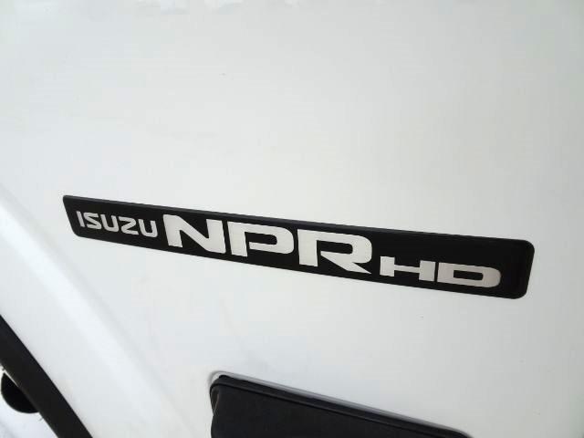 Isuzu NPR HD  2019