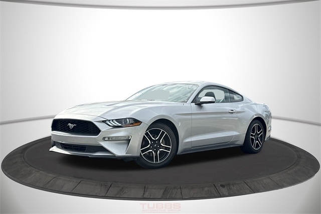Ford Mustang EcoBoost Fastback 2019