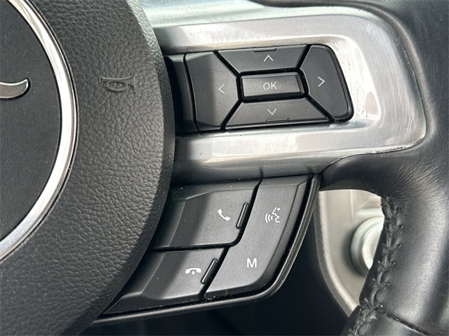 Ford Mustang EcoBoost Fastback 2019