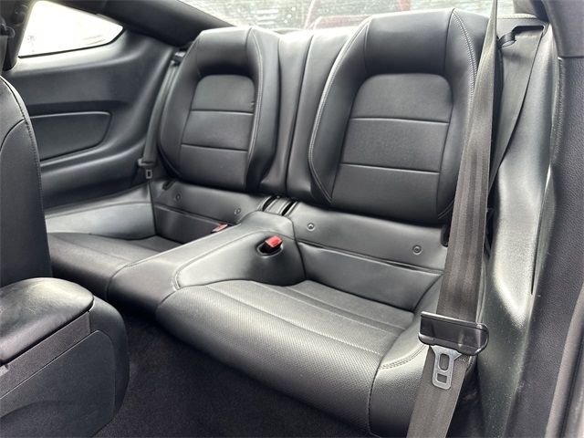 Ford Mustang EcoBoost Fastback 2019