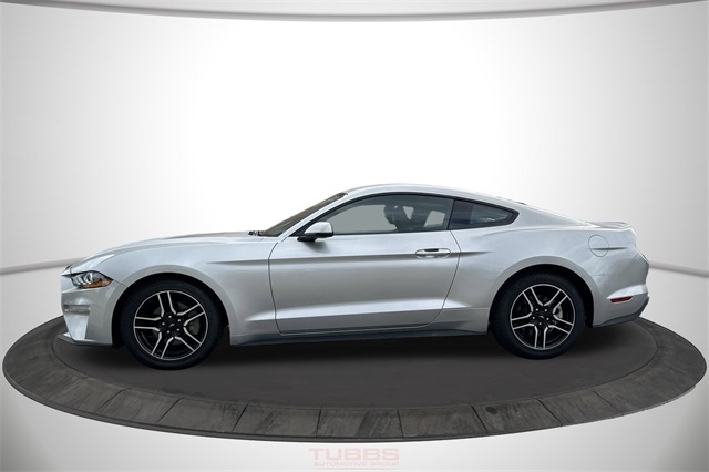 Ford Mustang EcoBoost Fastback 2019