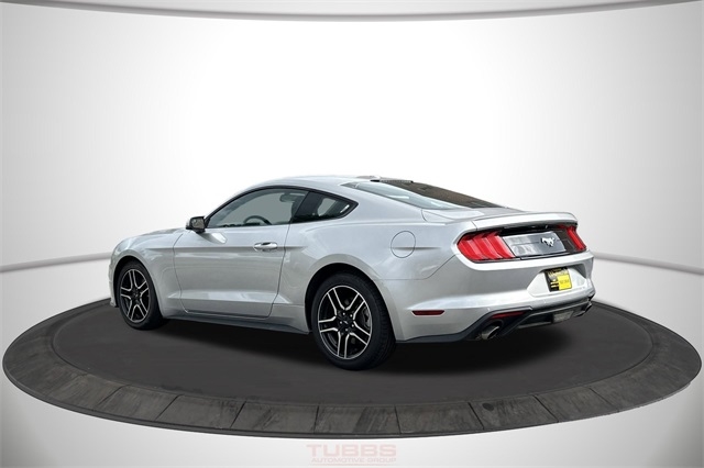 Ford Mustang EcoBoost Fastback 2019