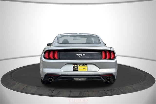Ford Mustang EcoBoost Fastback 2019