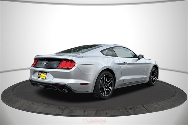 Ford Mustang EcoBoost Fastback 2019